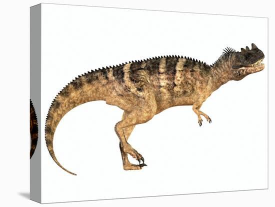 Ceratosaurus Dinosaur-Stocktrek Images-Stretched Canvas