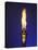 Ceremonial Olympic Style Torch-null-Premier Image Canvas