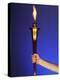 Ceremonial Torch-Paul Sutton-Premier Image Canvas