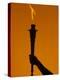 Ceremonial Torch-Paul Sutton-Premier Image Canvas