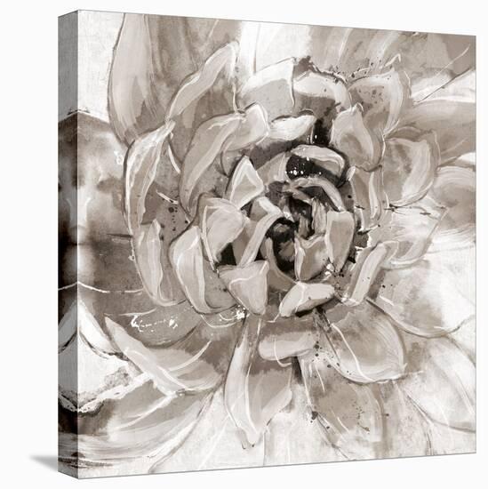 Cereus Aeonium - Fawn-Tania Bello-Stretched Canvas