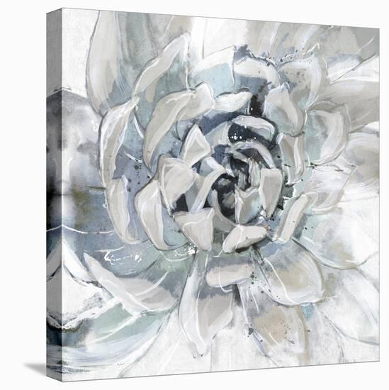 Cereus Aeonium-Tania Bello-Stretched Canvas