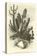 Cereus Cadelaris and Opuntia-Édouard Riou-Premier Image Canvas