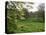 Cerne Abbas, Dorset, England, United Kingdom-J Lightfoot-Premier Image Canvas