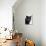 Certosina - Chartreux Cat, Portrait-Adriano Bacchella-Premier Image Canvas displayed on a wall