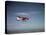 Cessna Skyhawk Flying-null-Premier Image Canvas