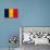 Chad Flag Design with Wood Patterning - Flags of the World Series-Philippe Hugonnard-Stretched Canvas displayed on a wall