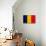 Chad Flag Design with Wood Patterning - Flags of the World Series-Philippe Hugonnard-Stretched Canvas displayed on a wall