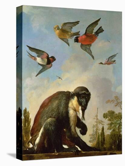Chained Monkey in a Landscape-Melchior de Hondecoeter-Premier Image Canvas