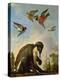 Chained Monkey in a Landscape-Melchior de Hondecoeter-Premier Image Canvas