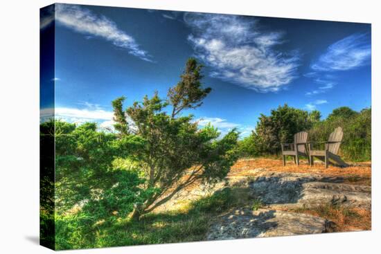 Chairs and Windblown Tree-Robert Goldwitz-Premier Image Canvas