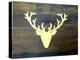 Chalet Style Gold Deer Antler-Markus Bleichner-Stretched Canvas