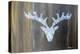 Chalet Style Silver Deer Antler-Markus Bleichner-Stretched Canvas