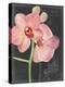 Chalkboard Flower I-Jennifer Parker-Stretched Canvas