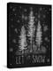 Chalkboard Holiday Trees I v2-Mary Urban-Stretched Canvas