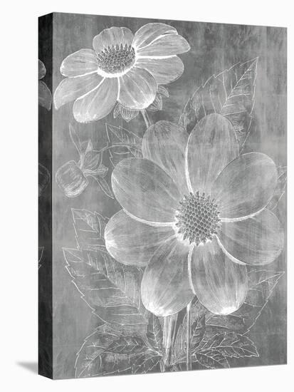 Chalky Blooms-Maria Mendez-Stretched Canvas