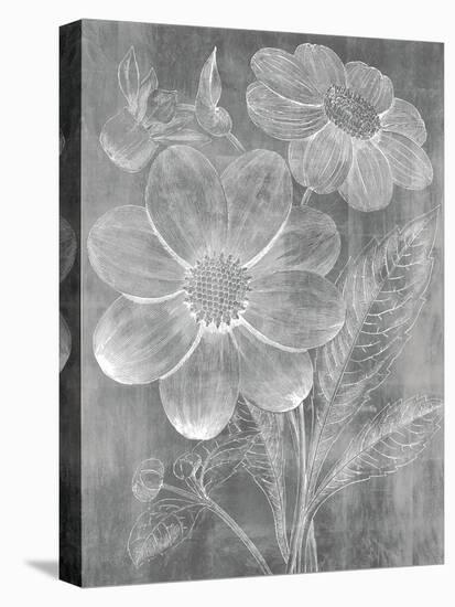 Chalky Bouquet-Maria Mendez-Stretched Canvas