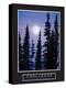 Challenge - Forest Moonrise-unknown unknown-Stretched Canvas