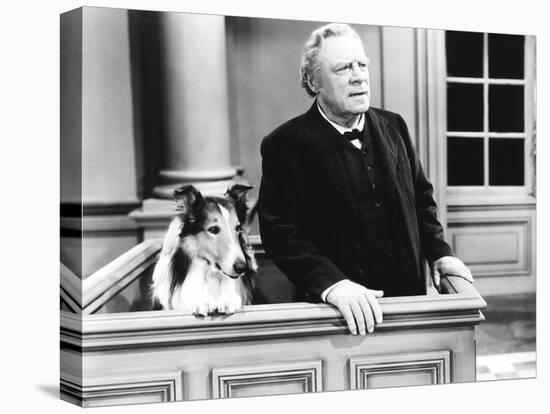 Challenge to Lassie, from Left: Lassie, Edmund Gwenn, 1949-null-Stretched Canvas