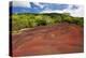 Chamarel Coloured Earth, Chamarel, Savanne, Mauritius, Indian Ocean, Africa-Jordan Banks-Premier Image Canvas