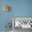 Chambered Nautilus shell-Adam Jones-Premier Image Canvas displayed on a wall
