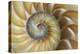 Chambered Nautilus shell-Adam Jones-Premier Image Canvas