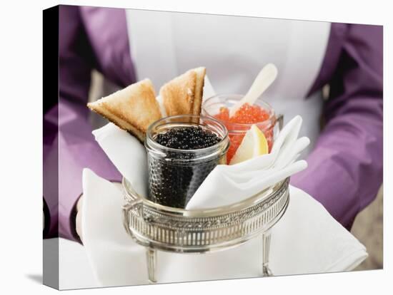 Chambermaid Serving Caviar and Toast-null-Premier Image Canvas