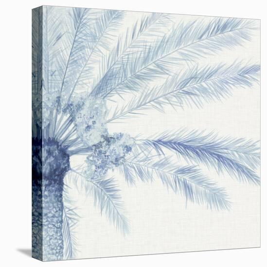 Chambray Palms II-Megan Meagher-Stretched Canvas