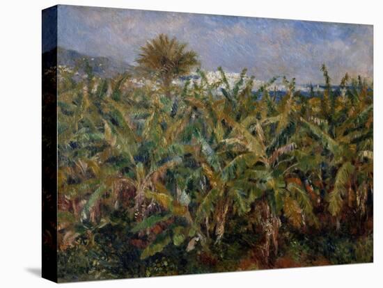 Champ de bananiers-Pierre-Auguste Renoir-Premier Image Canvas