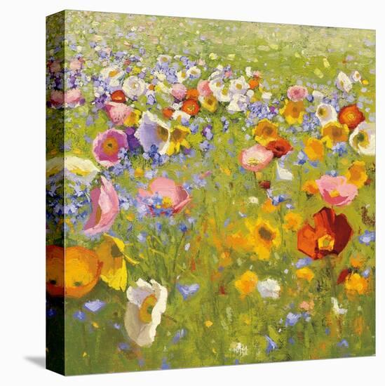 Champ de Fleur I-Shirley Novak-Stretched Canvas