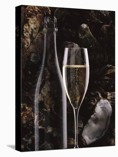 Champagne and Oysters-null-Premier Image Canvas