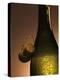 Champagne Bottle with Cork-Joerg Lehmann-Premier Image Canvas