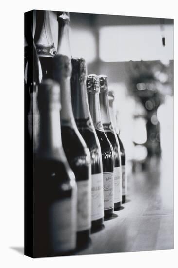 Champagne Bottles in a Row-Walter Bibikow-Premier Image Canvas