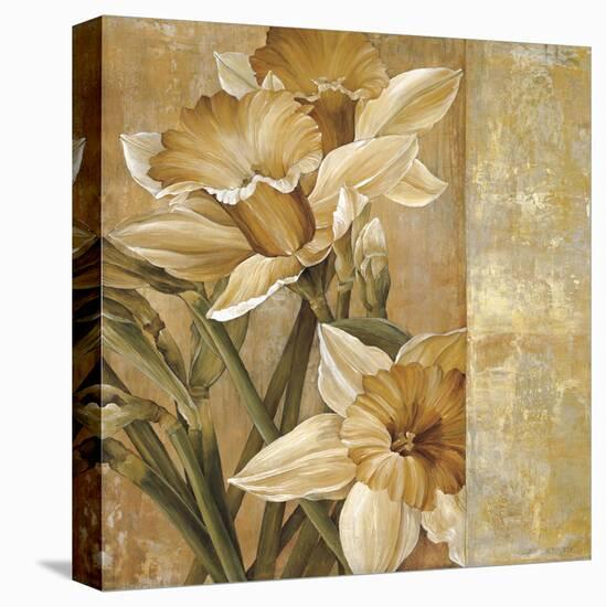 Champagne Daffodils I-Linda Thompson-Stretched Canvas