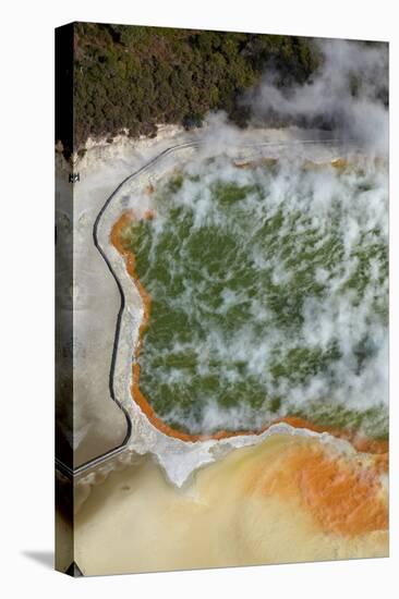 Champagne Pool and Artists Palette, Waiotapu Thermal Reserve, Rotorua, North Island, New Zealand-David Wall-Premier Image Canvas