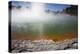 Champagne Pool, Hot Springs, Waiotapu Goethermal Wonderland, Rotorua, New Zealand, Oceania-Jeremy Bright-Premier Image Canvas