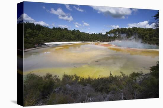 Champagne Pool, Hot Springs, Waiotapu Goethermal Wonderland, Rotorua, New Zealand, Oceania-Jeremy Bright-Premier Image Canvas