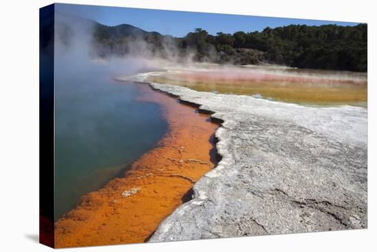 Champagne Pool, Hot Springs, Waiotapu Goethermal Wonderland, Rotorua, New Zealand, Oceania-Jeremy Bright-Premier Image Canvas