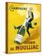 Champagne Vicomte De Moulliac-null-Premier Image Canvas