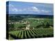 Champagne Vineyards, Ville-Dommange, Near Reims, Champagne, France, Europe-Stuart Black-Premier Image Canvas