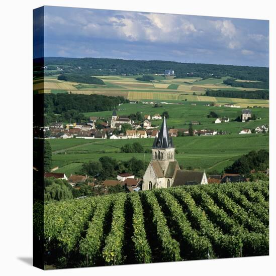 Champagne Vineyards, Ville-Dommange, Near Reims, Champagne, France, Europe-Stuart Black-Premier Image Canvas