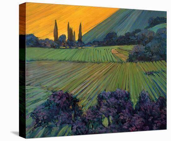 Champange Vineyards-Philip Craig-Stretched Canvas