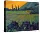 Champange Vineyards-Philip Craig-Stretched Canvas