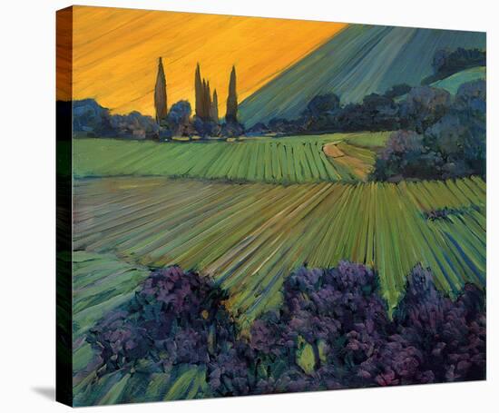 Champange Vineyards-Philip Craig-Stretched Canvas