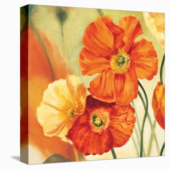 Champs De Coquelicots I Stretched Canvas Print Pierre Viollet Art Com Champs De Coquelicots I Stretched Canvas Print Pierre Viollet Art Com