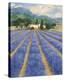 Champs De Lavande-Hazel Barker-Stretched Canvas