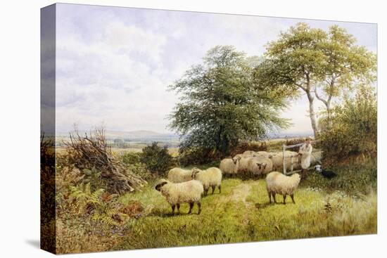 Changing Pastures-George Shalders-Premier Image Canvas