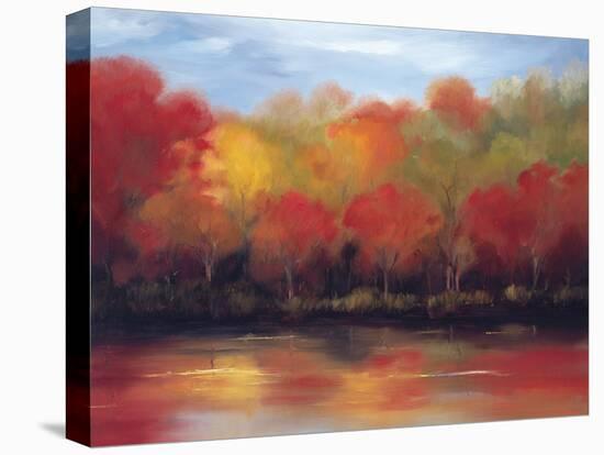 Changing Seasons-Tim Howe-Premier Image Canvas