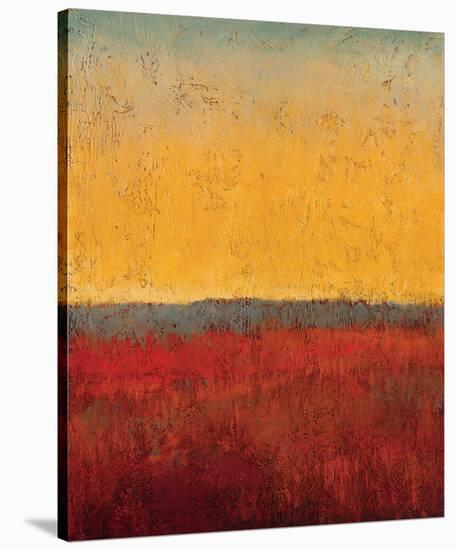 Changing Skies 1-Jeannie Sellmer-Stretched Canvas