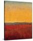 Changing Skies 1-Jeannie Sellmer-Stretched Canvas